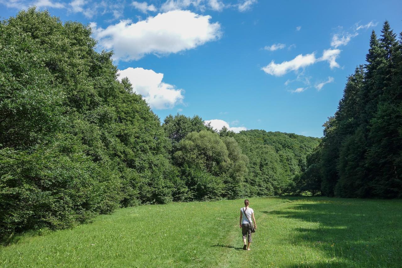 Baumhaushotel Seemuhle Gräfendorf Екстериор снимка